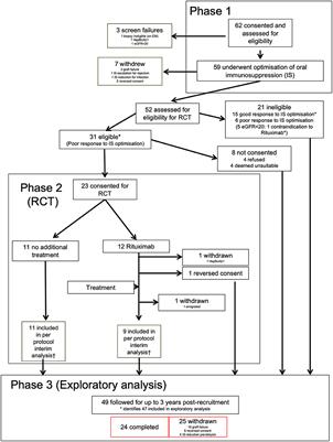 Effect of Optimized Immunosuppression (Including Rituximab) on Anti-Donor Alloresponses in Patients With Chronically Rejecting Renal Allografts